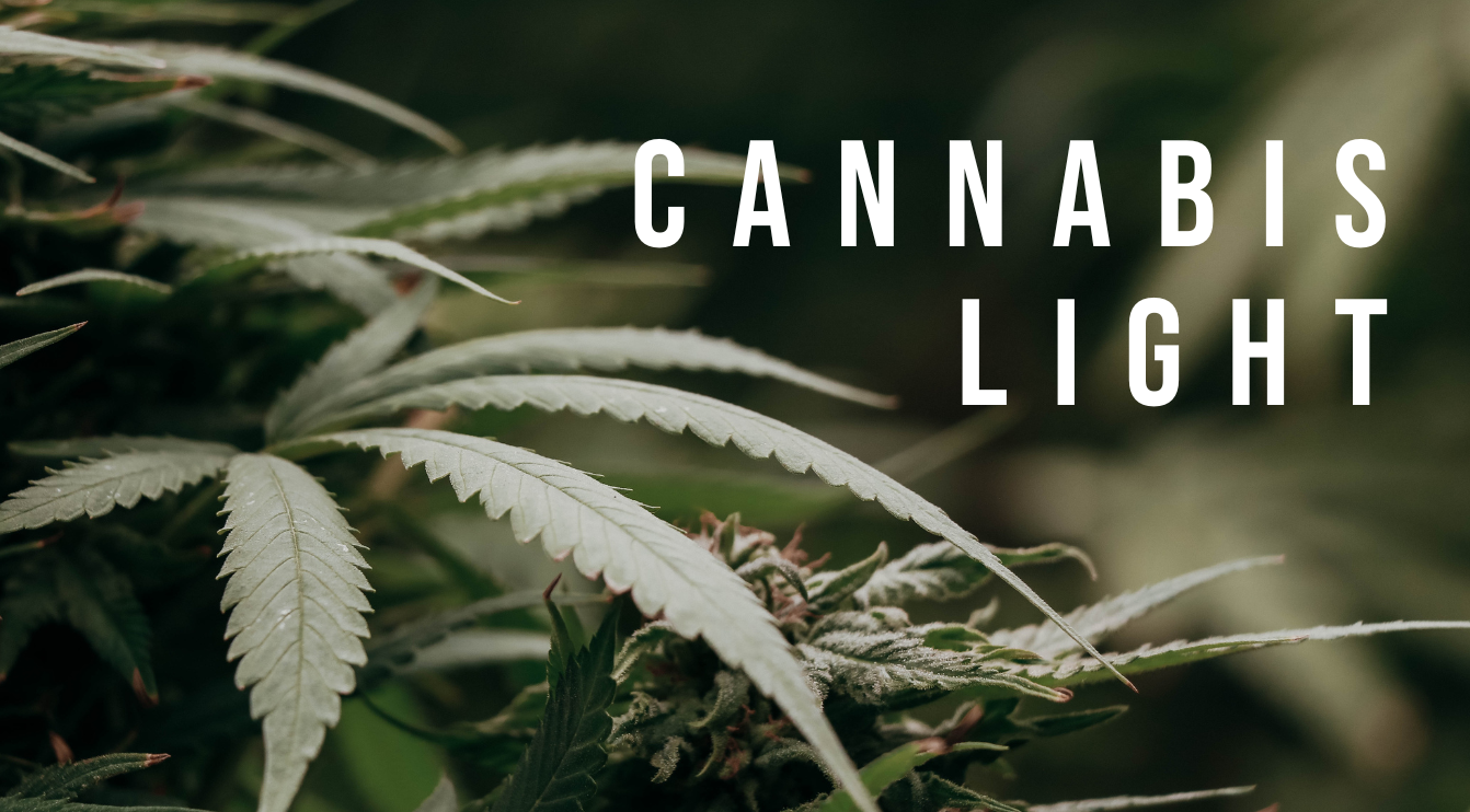 Infiorescenze Cannabis Light cbdpremium